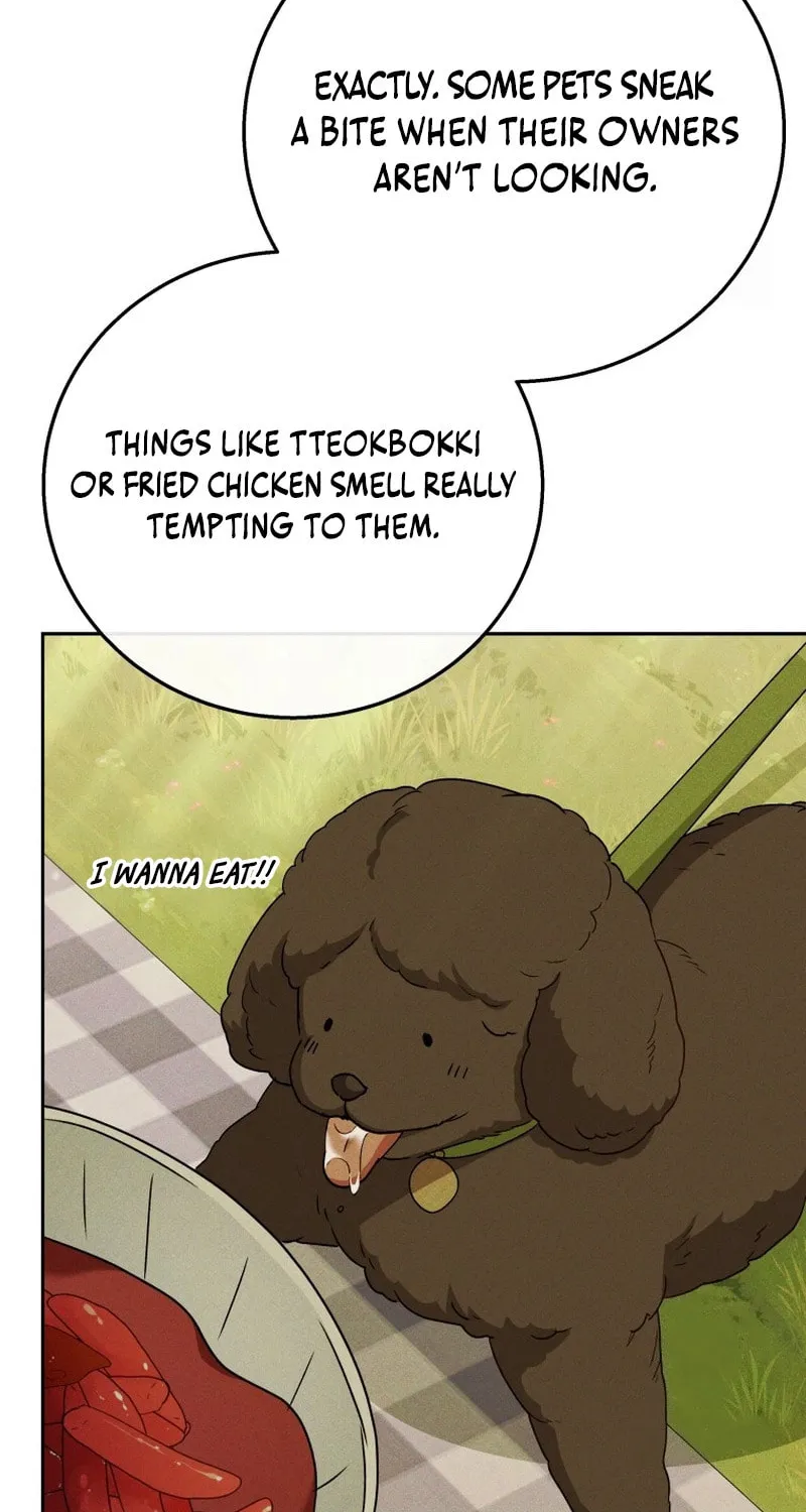 Veterinarian! Hello? Chapter 79 page 63 - 