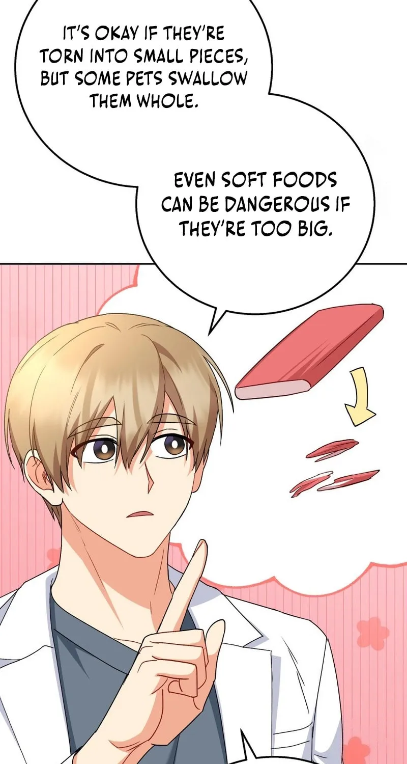 Veterinarian! Hello? Chapter 79 page 66 - 