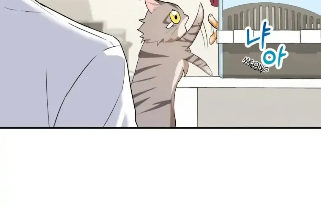Veterinarian! Hello? Chapter 8 page 98 - 