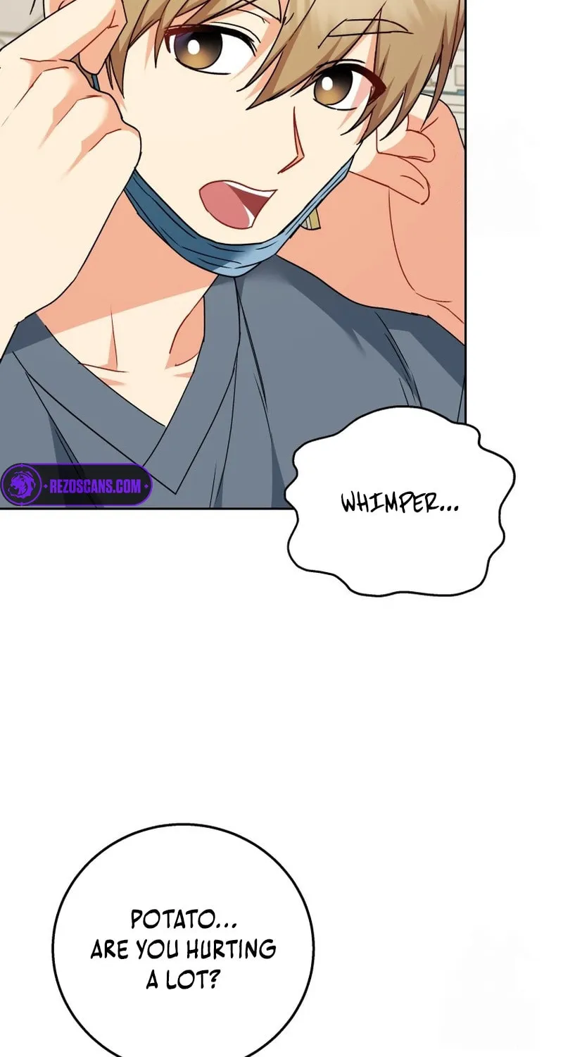 Veterinarian! Hello? Chapter 80 page 35 - 