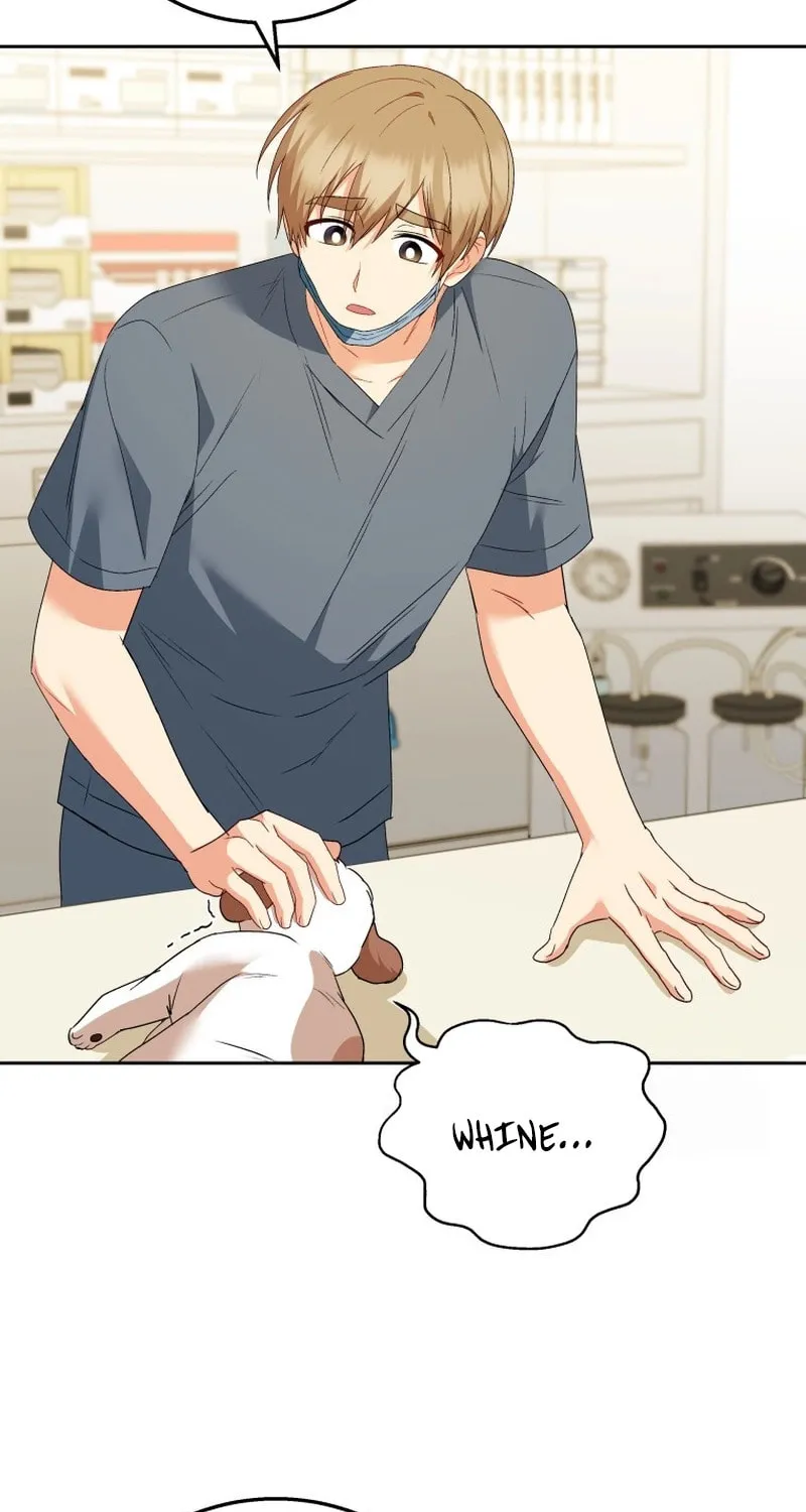 Veterinarian! Hello? Chapter 80 page 36 - 
