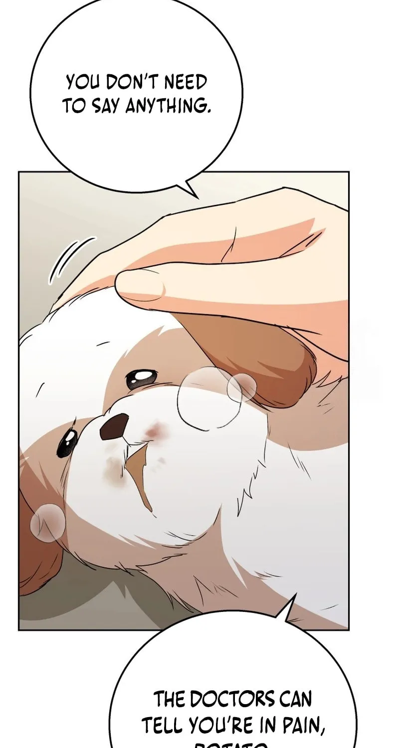 Veterinarian! Hello? Chapter 80 page 37 - 