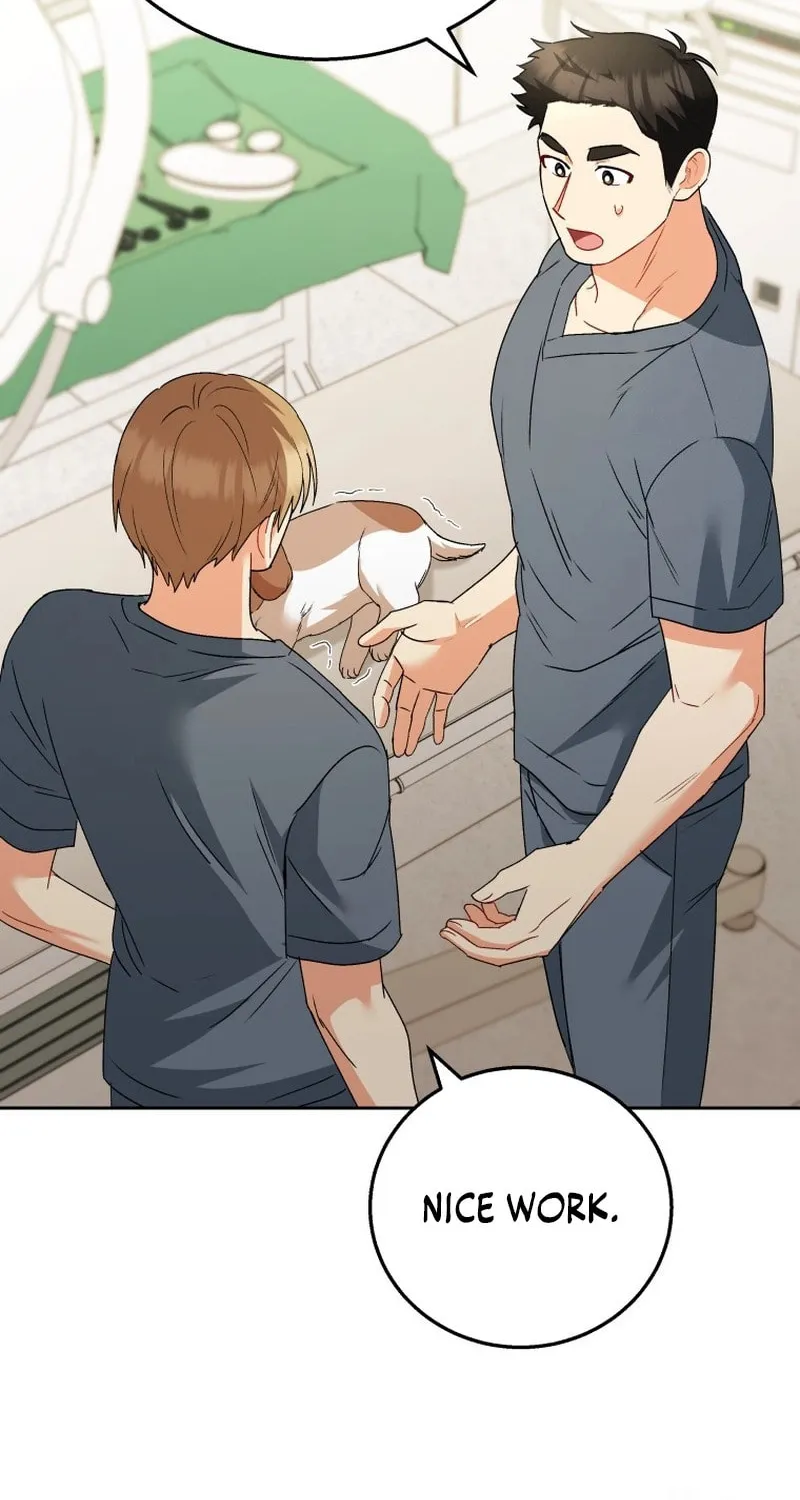 Veterinarian! Hello? Chapter 80 page 5 - 