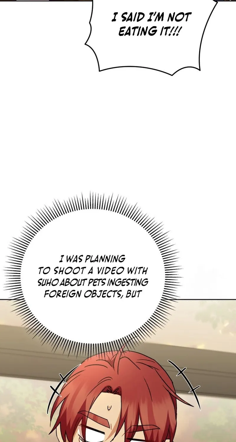 Veterinarian! Hello? Chapter 80 page 80 - 