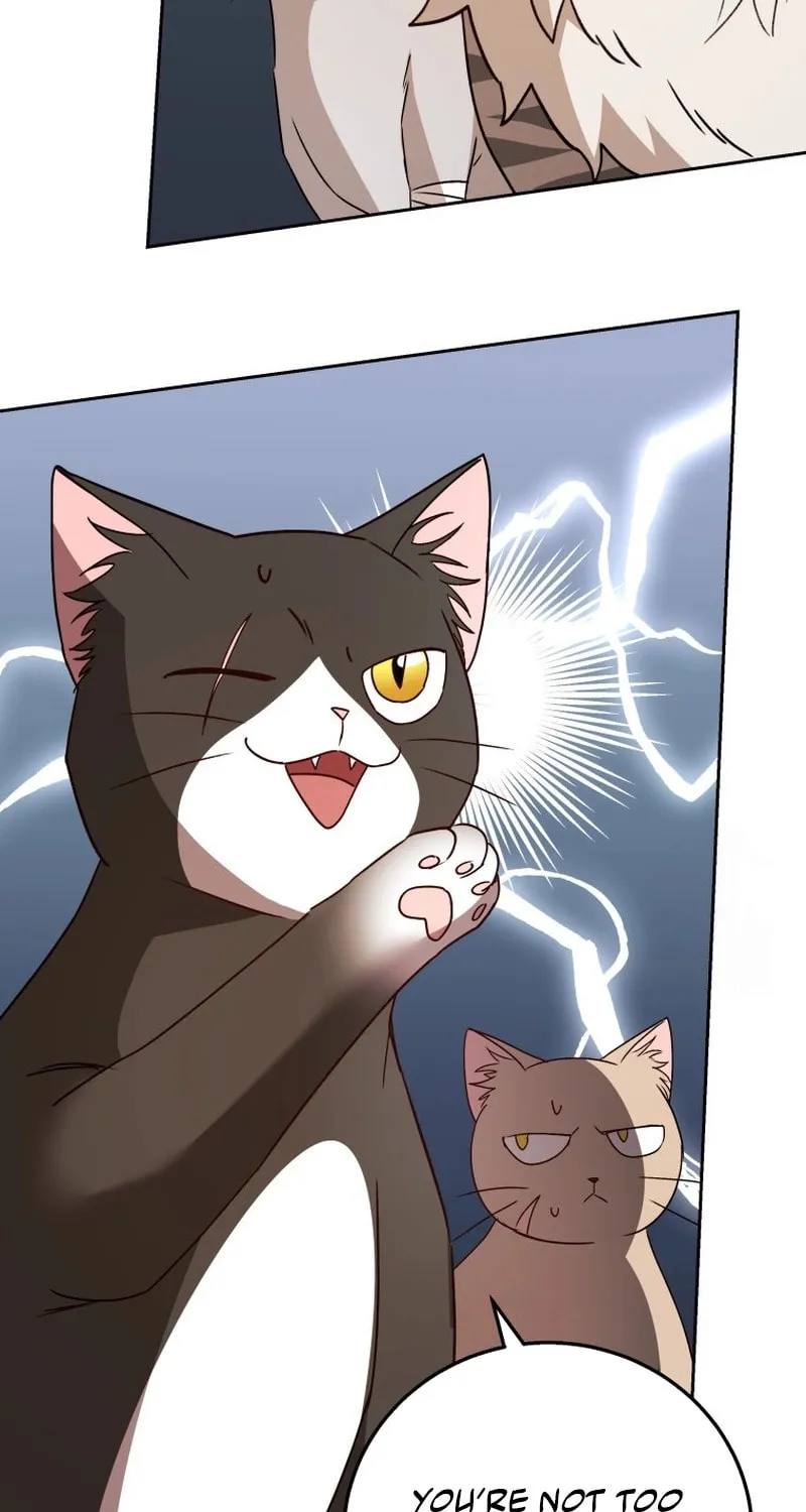 Veterinarian! Hello? Chapter 80 page 87 - 