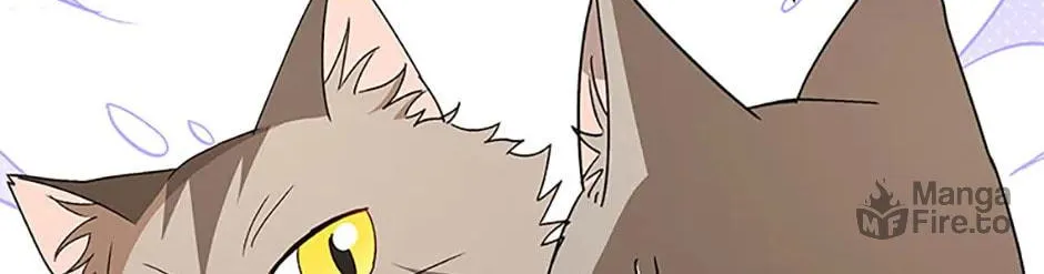Veterinarian! Hello? Chapter 81 page 102 - 