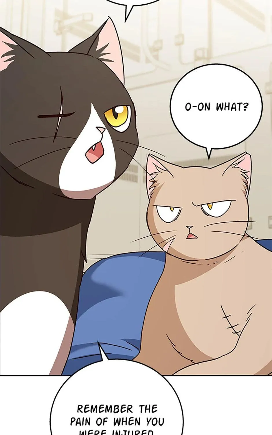Veterinarian! Hello? Chapter 81 page 113 - 