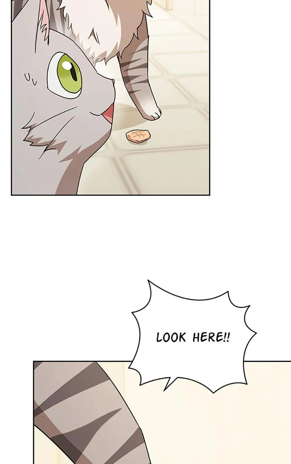 Veterinarian! Hello? Chapter 81 page 125 - 