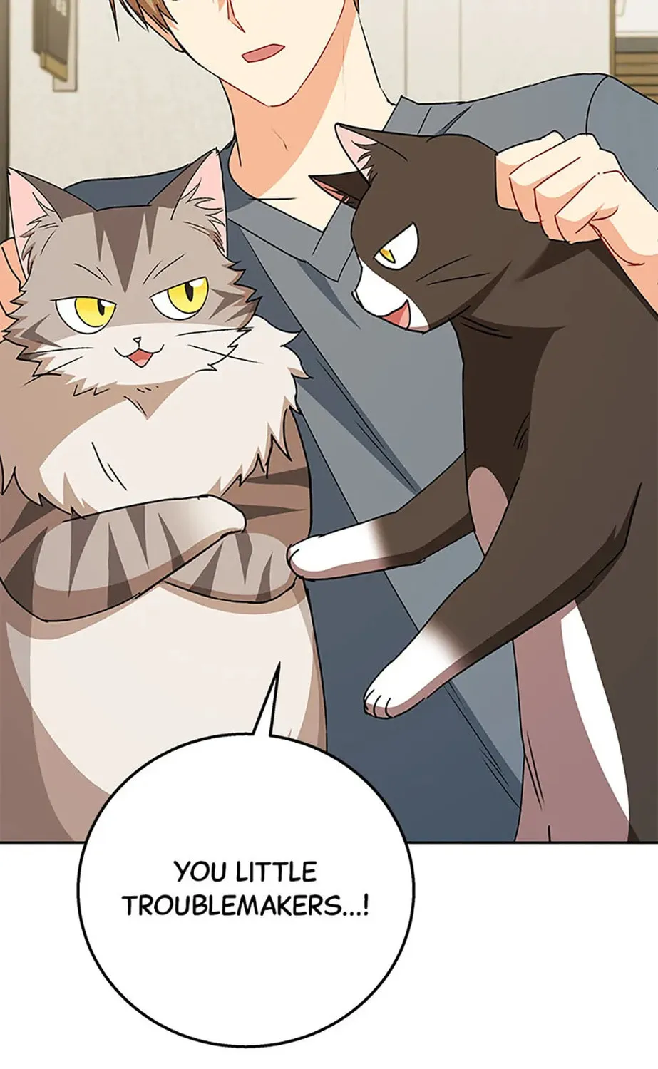 Veterinarian! Hello? Chapter 81 page 165 - 