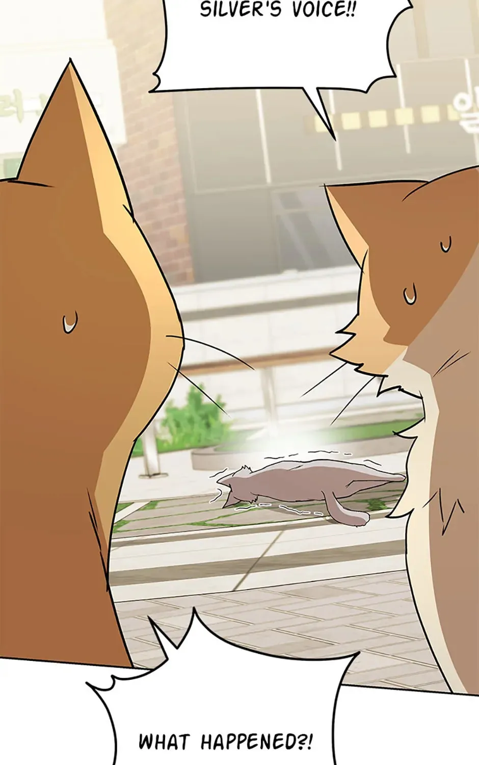 Veterinarian! Hello? Chapter 81 page 45 - 