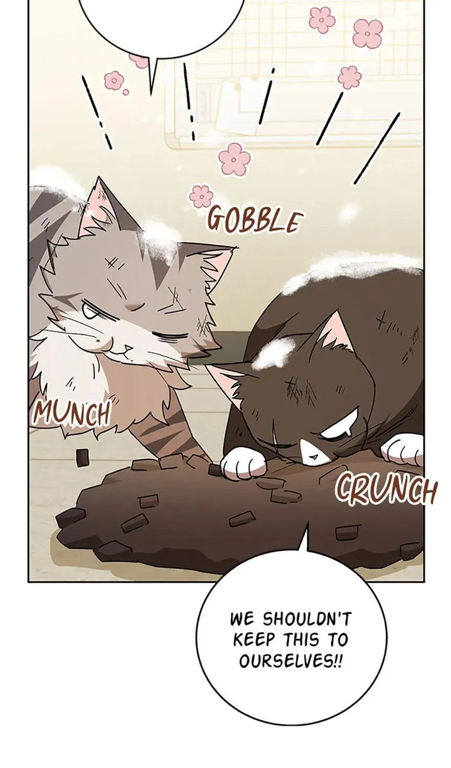 Veterinarian! Hello? Chapter 82 page 101 - 
