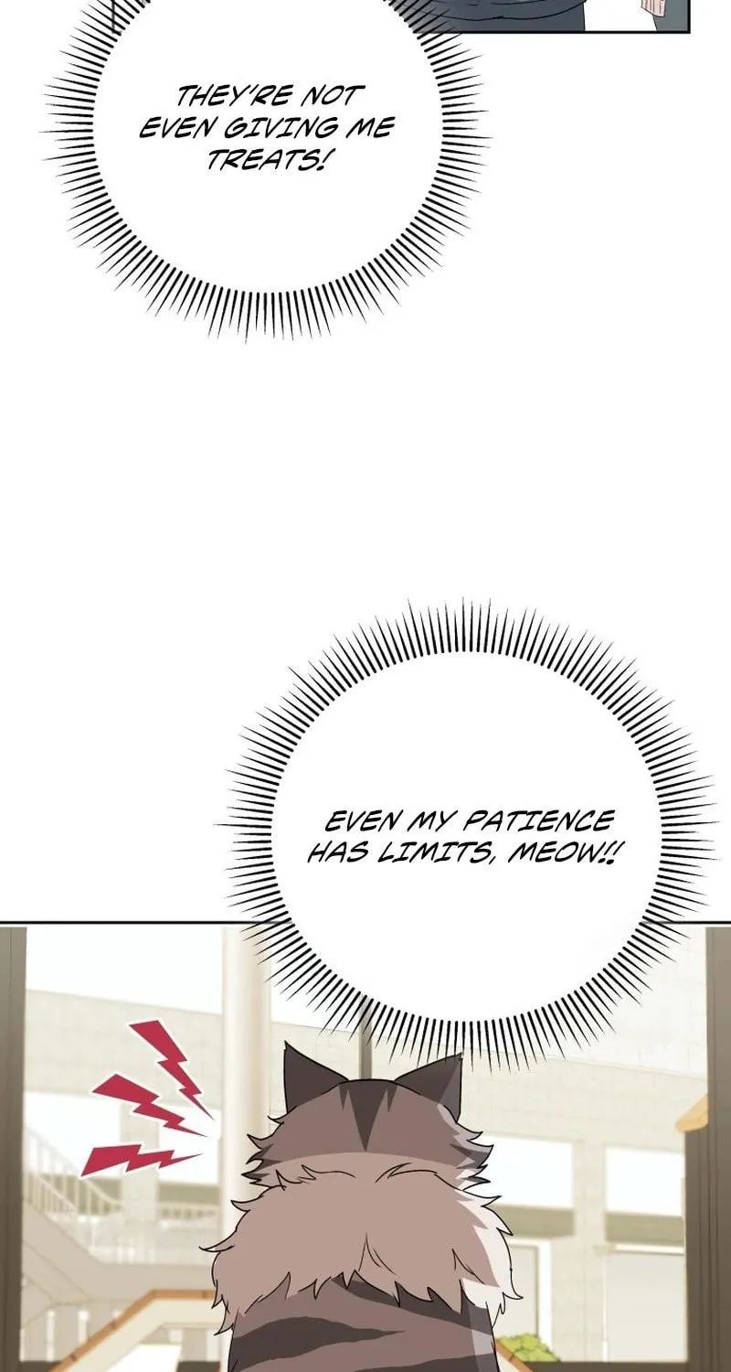 Veterinarian! Hello? Chapter 83 page 38 - 