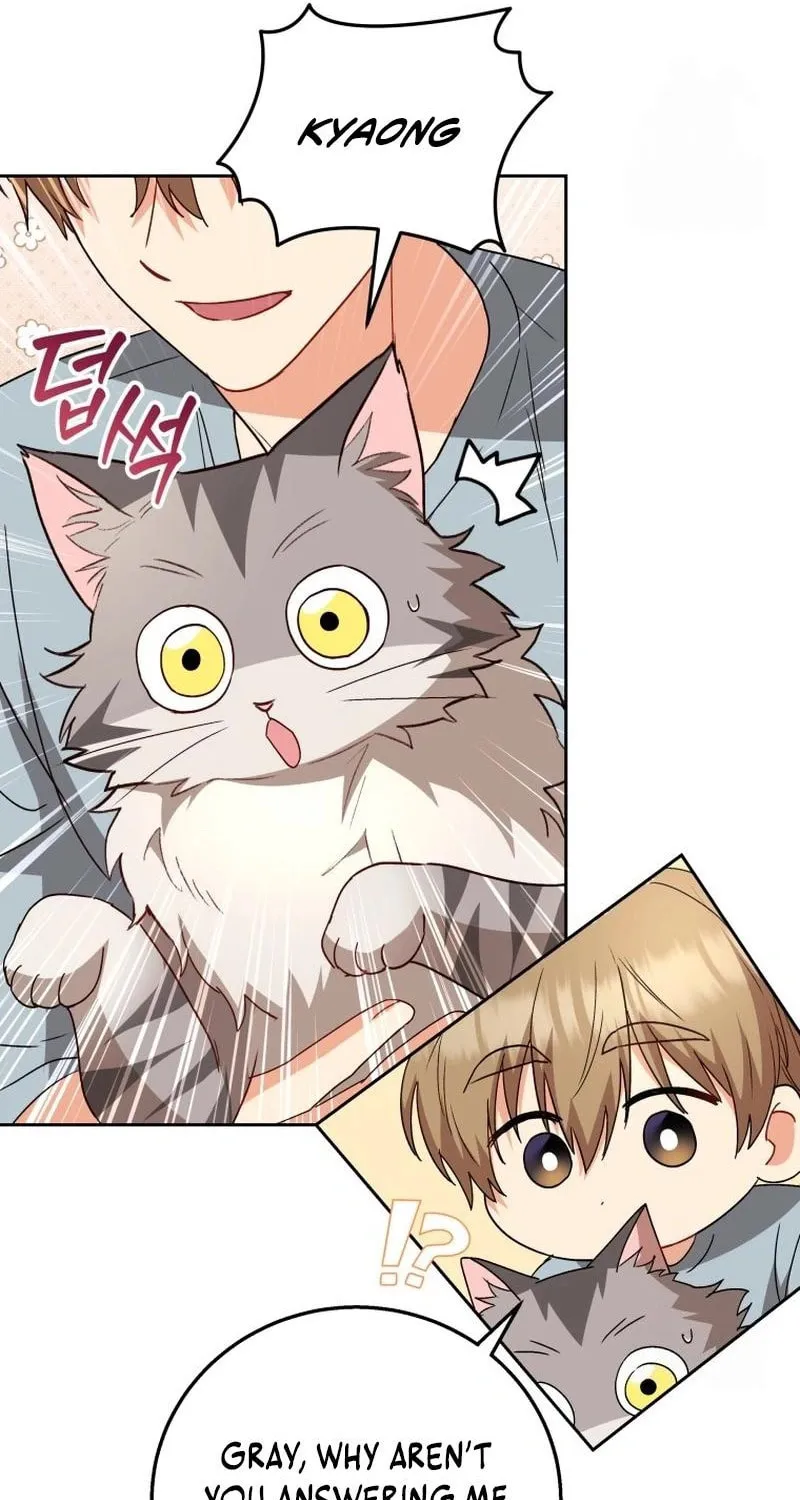 Veterinarian! Hello? Chapter 83 page 41 - 