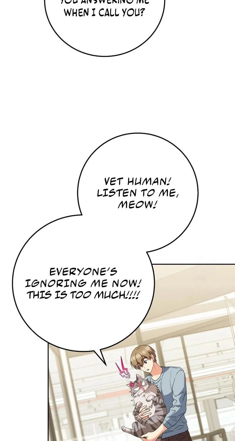 Veterinarian! Hello? Chapter 83 page 42 - 
