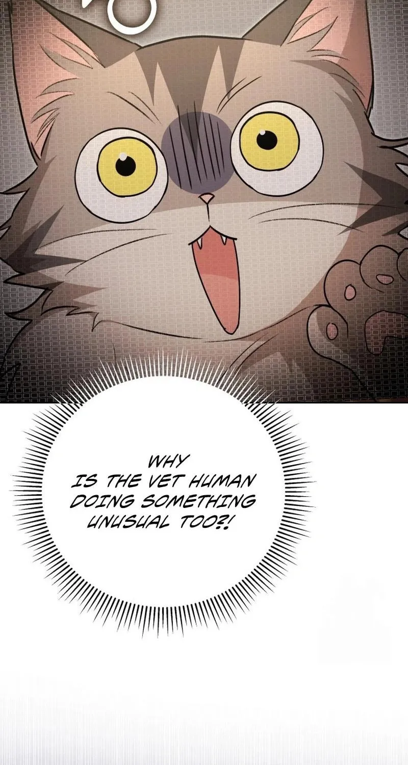 Veterinarian! Hello? Chapter 83 page 48 - 