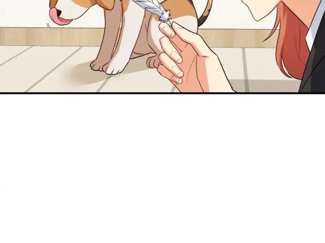 Veterinarian! Hello? Chapter 9 page 31 - 