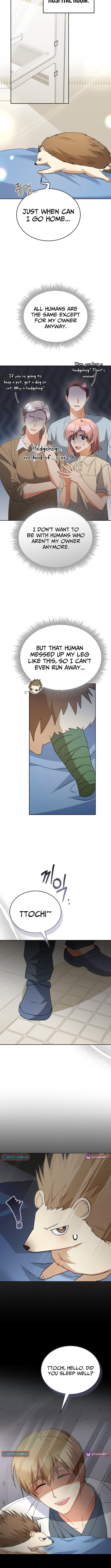 Veterinarian! Hello? Chapter 99 page 11 - 