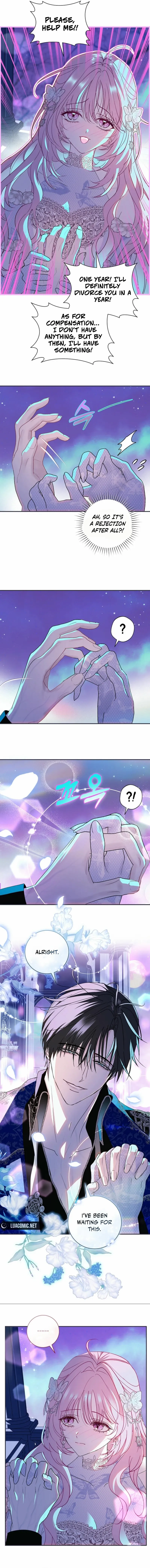 Villain, I’ll Do Everything Except Marriage for You! Chapter 4 page 3 - 