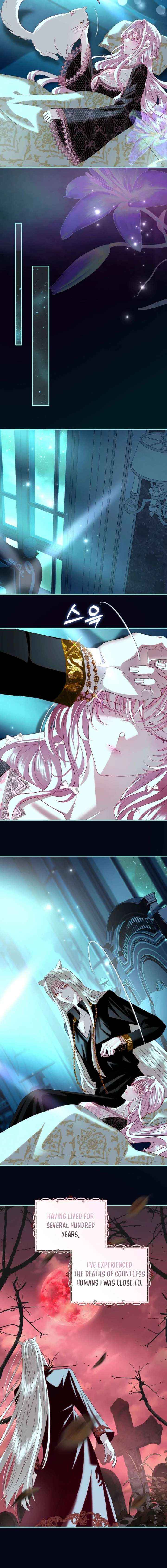 Villain, I’ll Do Everything Except Marriage for You! Chapter 53 page 13 - 