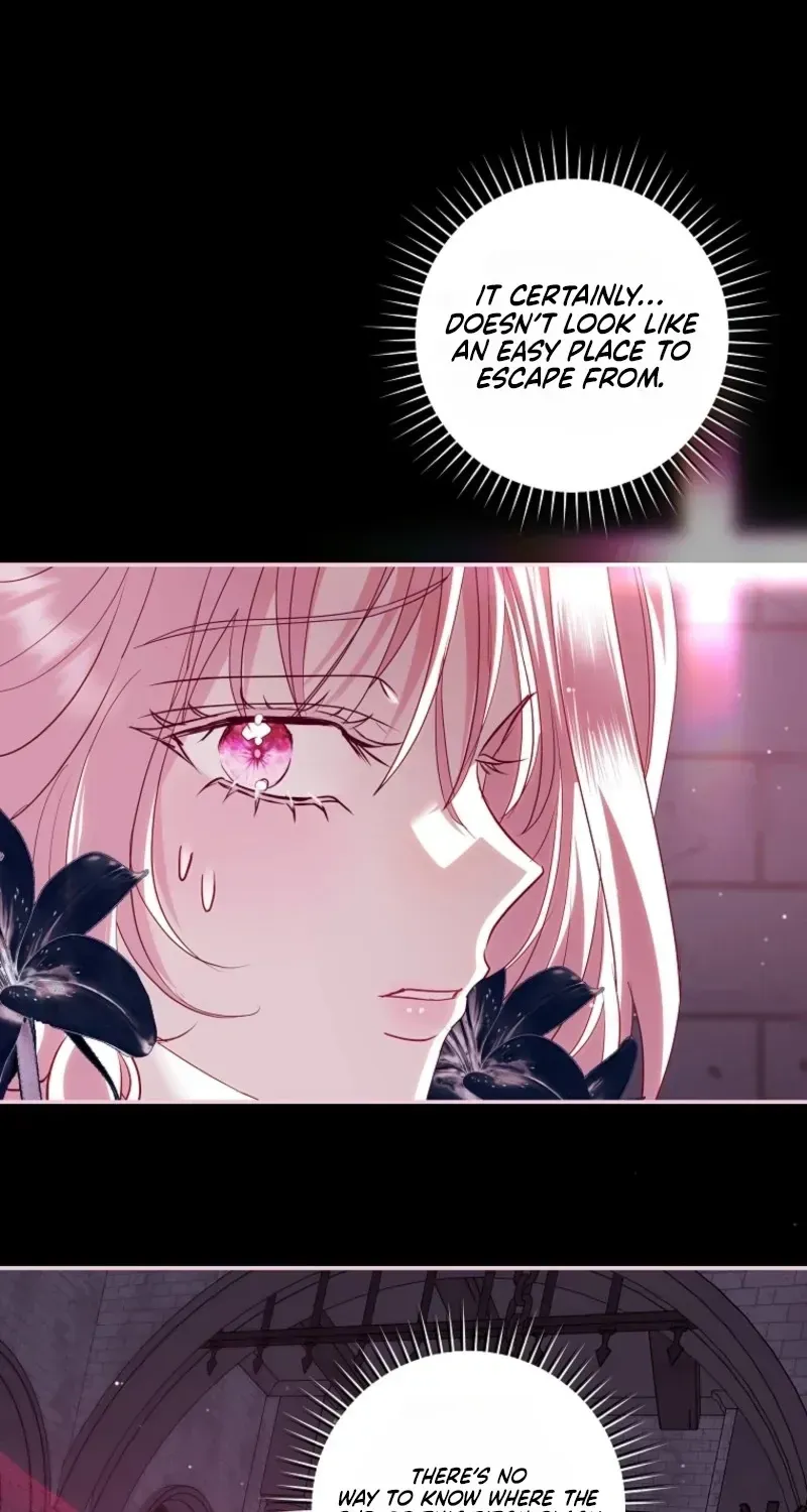 Villain, I’ll Do Everything Except Marriage for You! Chapter 73 page 67 - 