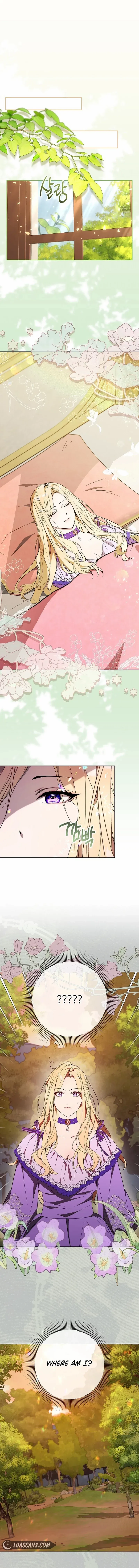 Villainess Reborn: 24 Hours Chapter 20 page 10 - 