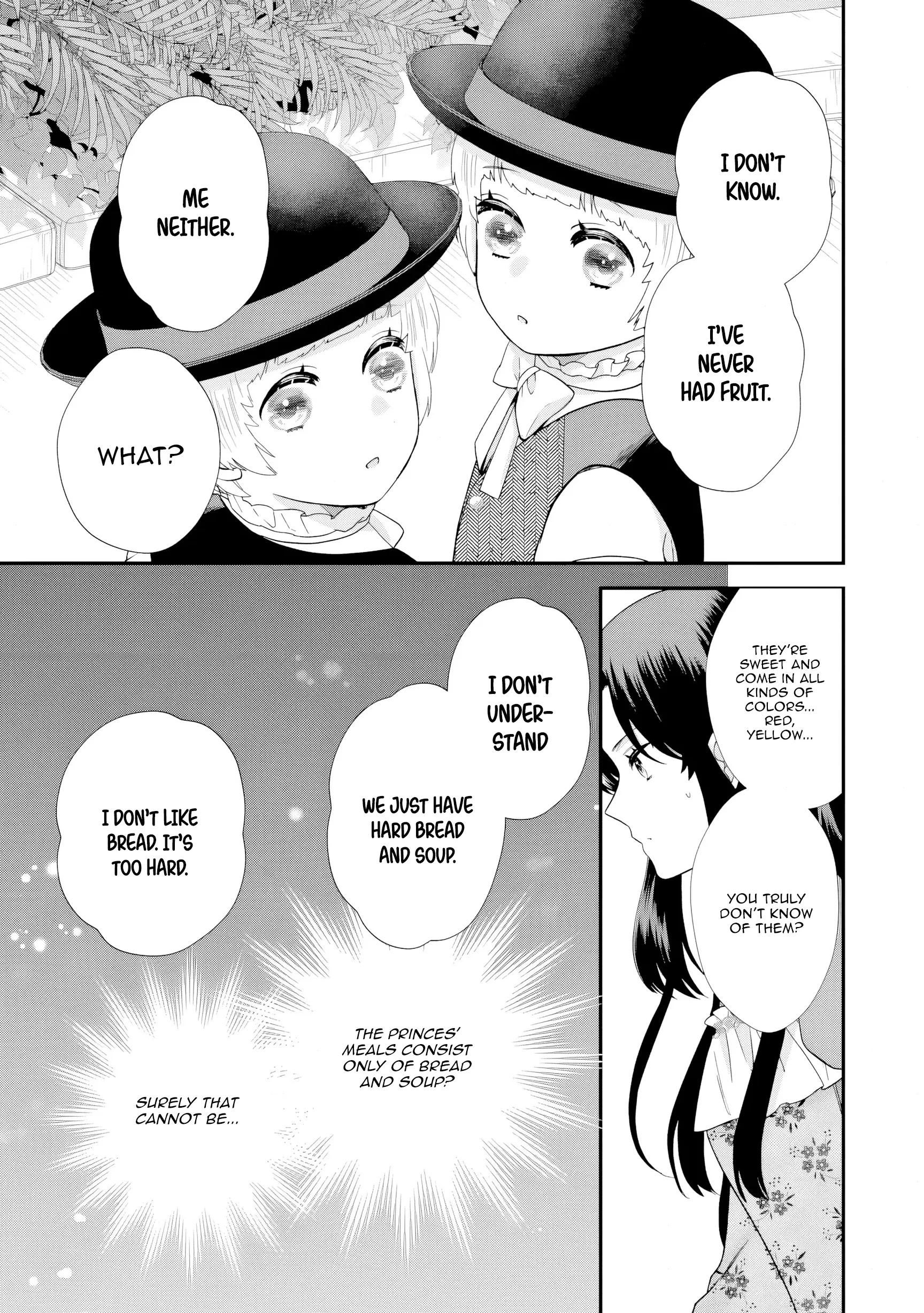 Villainess Stepmother of Twin Princes Who Just Loves Her Cute Boys. Chapter 5 page 17 - 