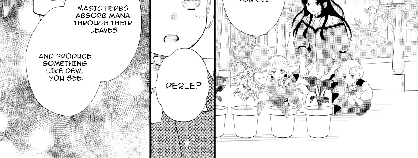 Villainess Stepmother of Twin Princes Who Just Loves Her Cute Boys. Chapter 8 page 40 - 