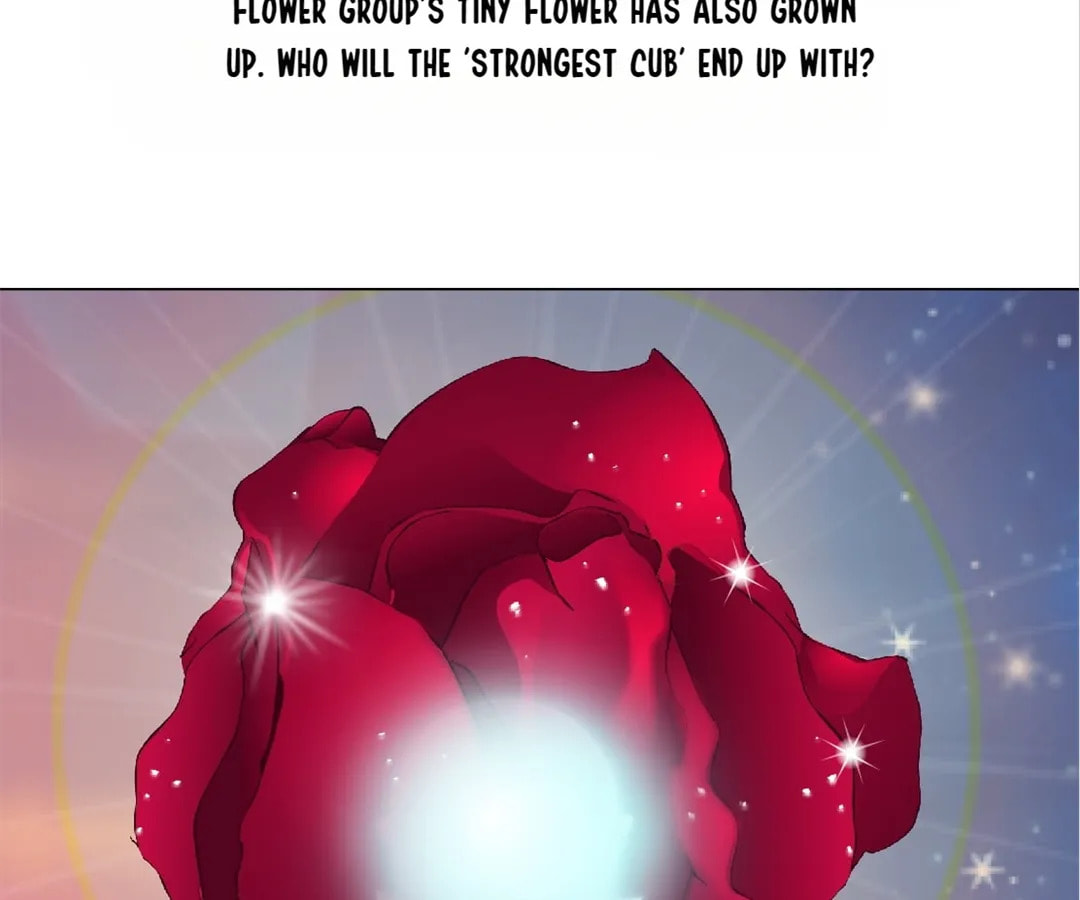 Vinegirl: Mercy Killing Chapter 218 page 66 - 