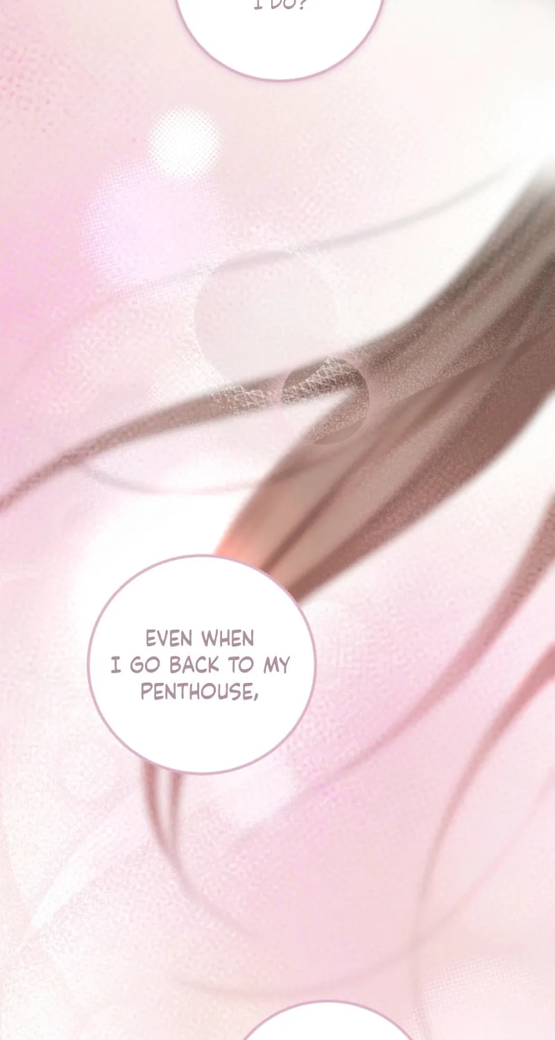 Violet Romance Chapter 8 page 19 - 