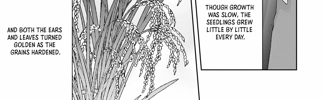 Violetta’s Agricultural Revolution: The Reincarnated Lady Loved by the Ice Marquis. Chapter 1 page 83 - 