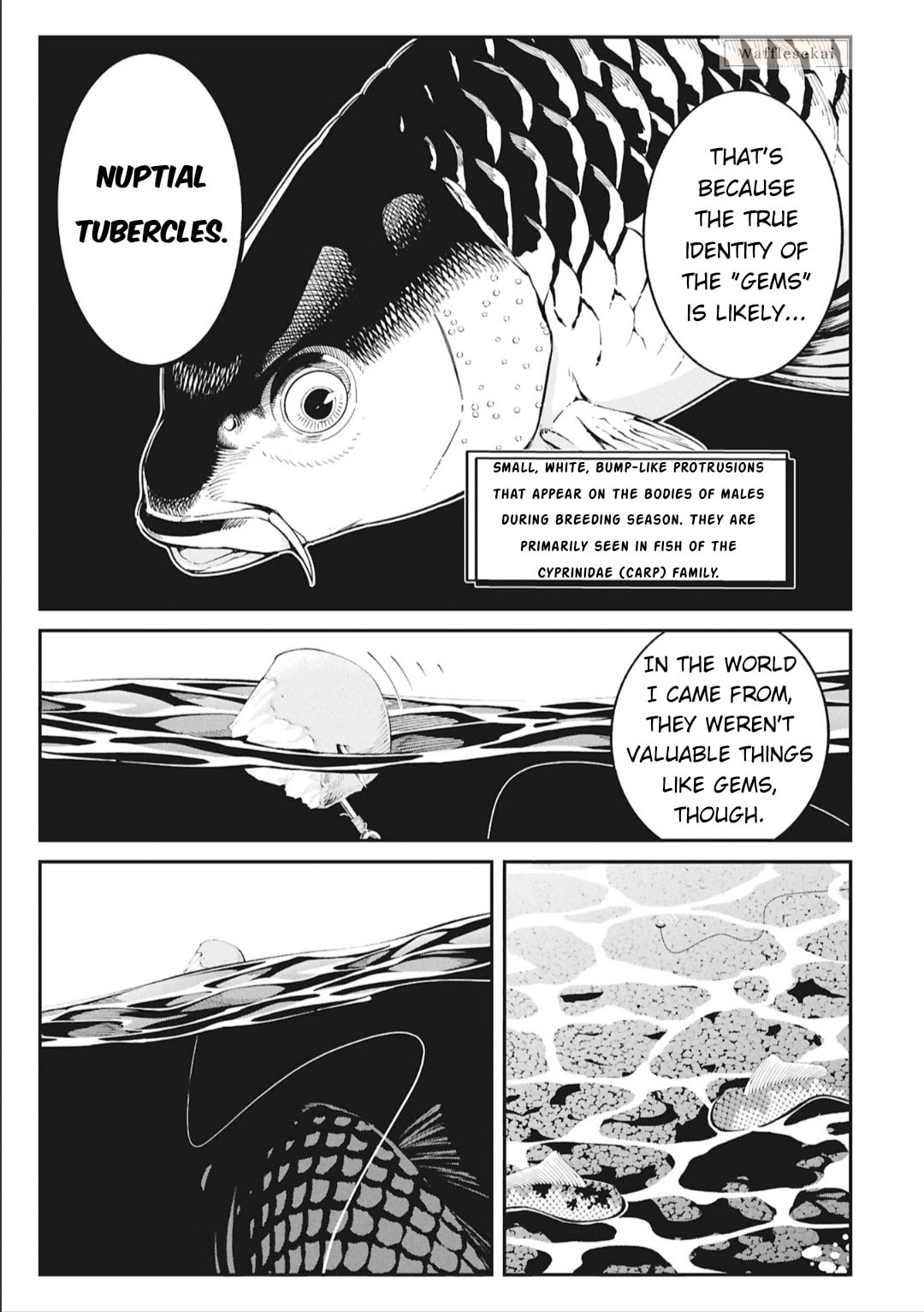 Wandering Around Another World with Just One Fishing Rod Chapter 5 page 12 - 