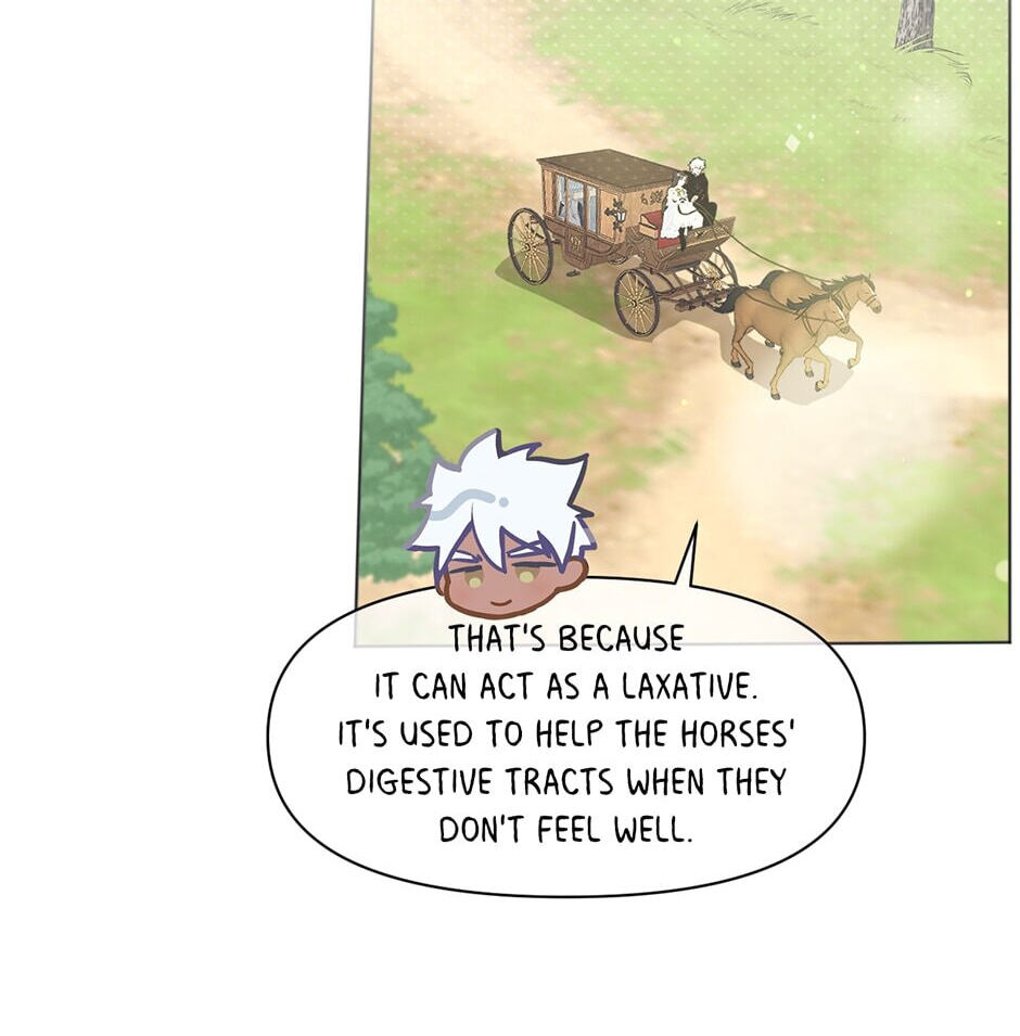 War of the Princesses (Colored) Chapter 142 page 2 - 