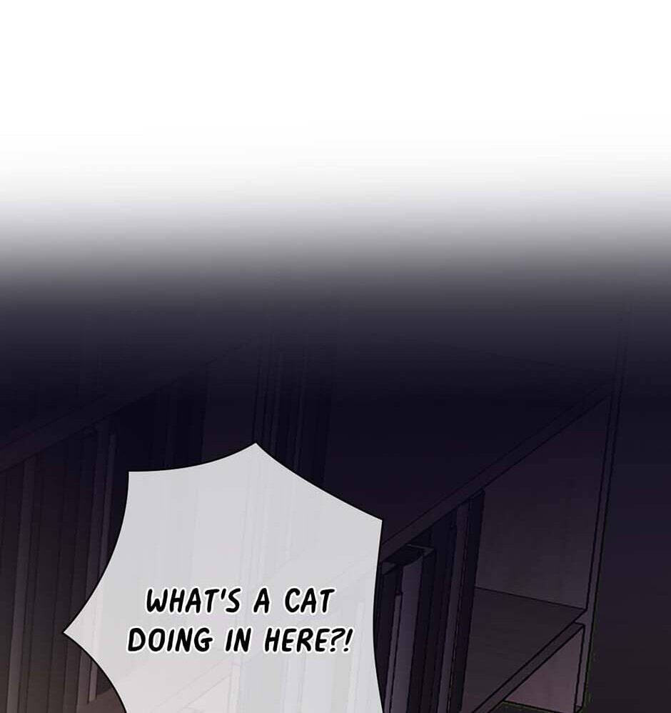 War of the Princesses (Colored) Chapter 18 page 61 - 