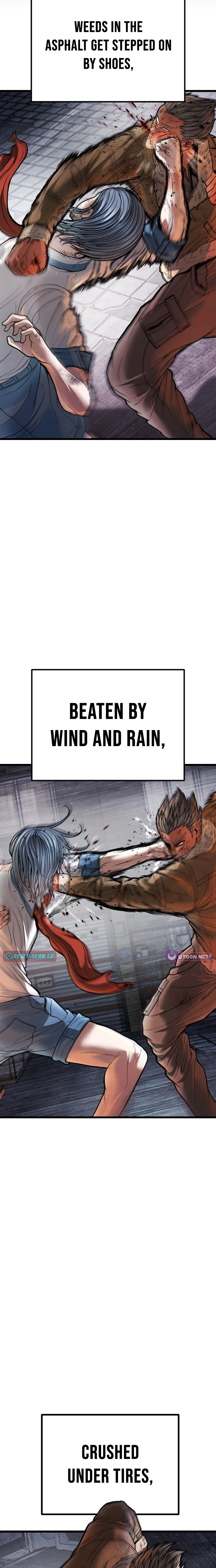 War of the Stray Dogs Chapter 19 page 37 - 