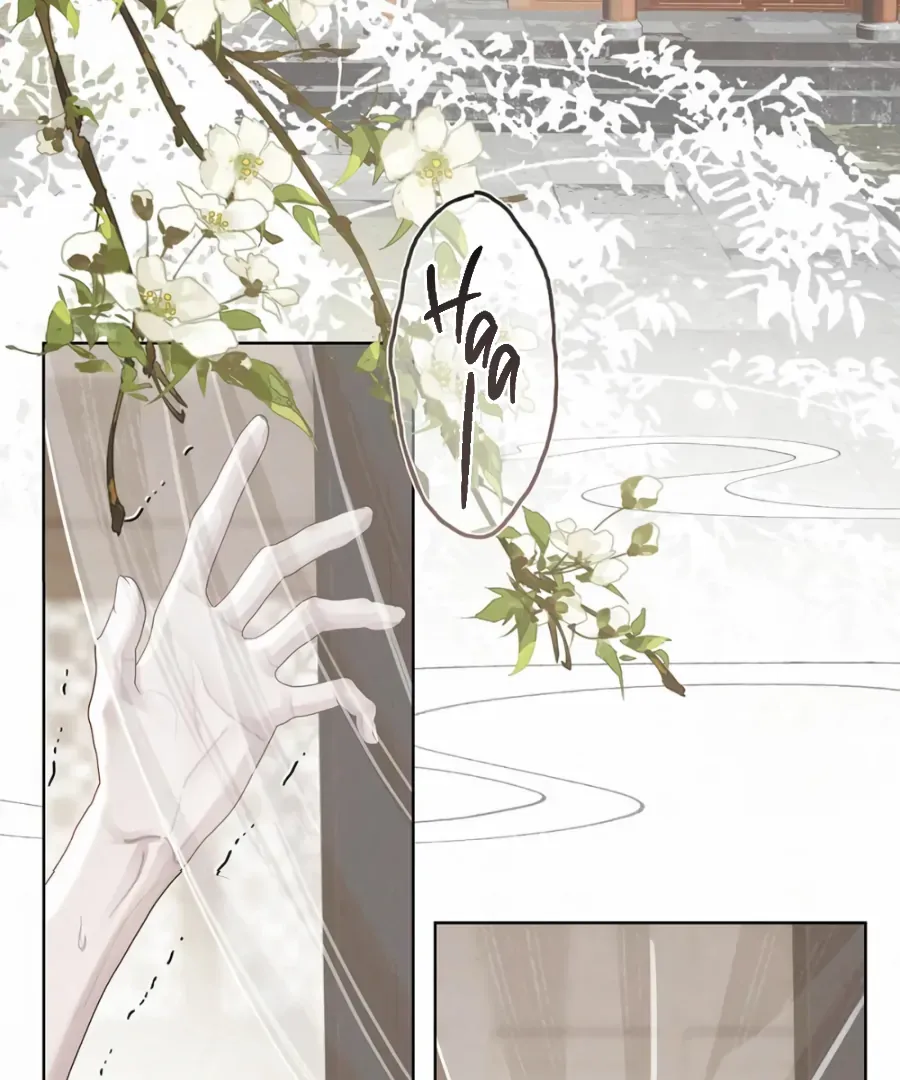 Was His Highness Assassinated Today? Chapter 17 page 7 - 