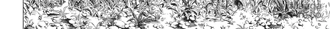 Watari-kun