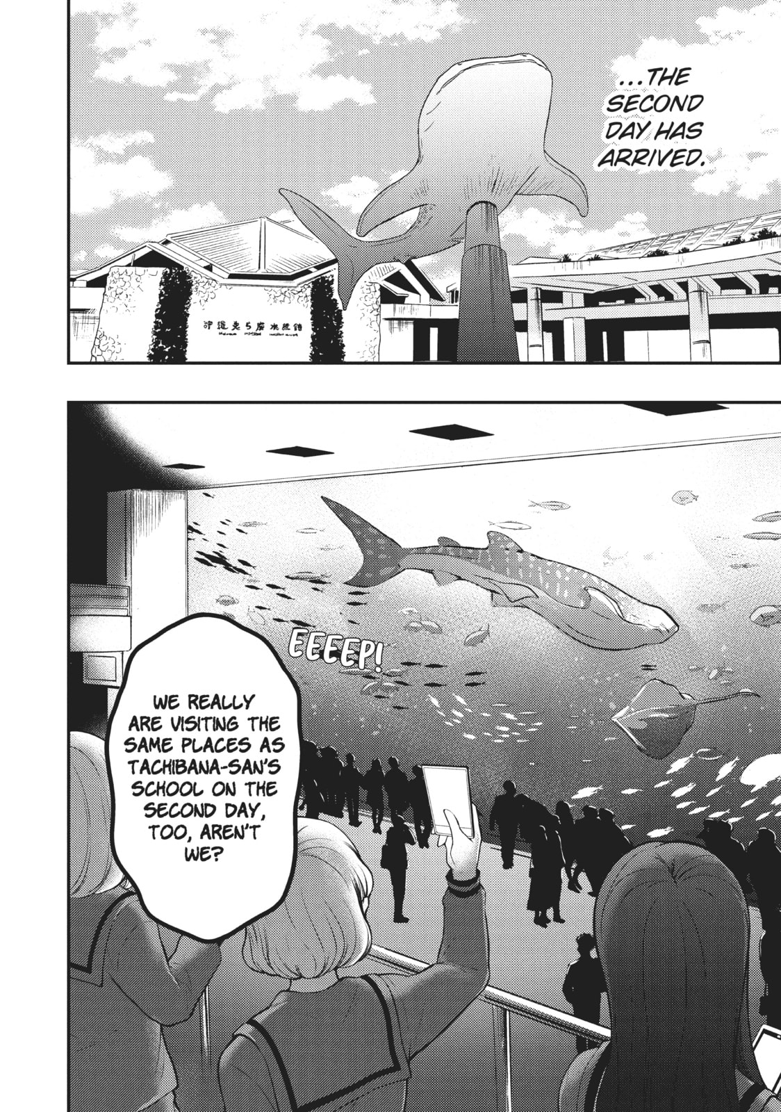 Watari-kun