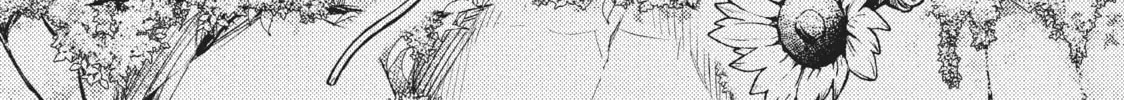 Watari-kun