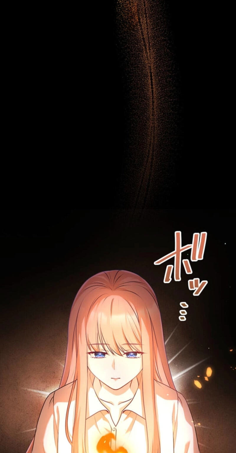 Watashi ga Horobo Shite Ii desu yo ne - Junpaku no Seijo wa Fukushuu o Chikau Chapter 1 page 3 - 
