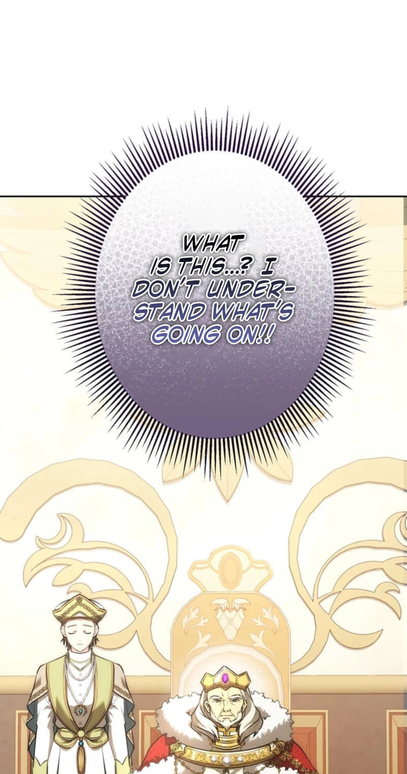 Watashi ga Horobo Shite Ii desu yo ne - Junpaku no Seijo wa Fukushuu o Chikau Chapter 1 page 40 - 