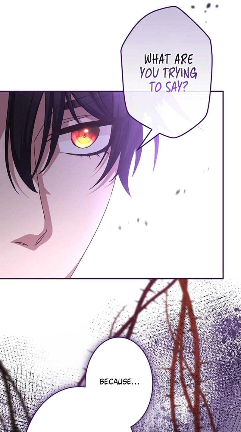 Watashi ga Horobo Shite Ii desu yo ne - Junpaku no Seijo wa Fukushuu o Chikau Chapter 11 page 47 - 