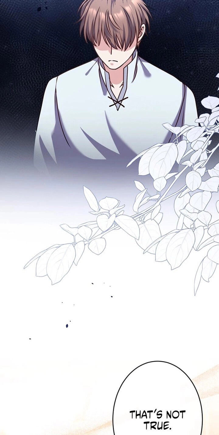 Watashi ga Horobo Shite Ii desu yo ne - Junpaku no Seijo wa Fukushuu o Chikau Chapter 12 page 57 - 