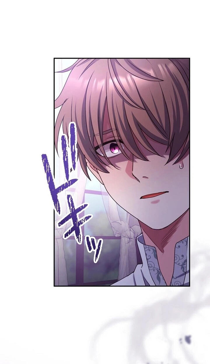 Watashi ga Horobo Shite Ii desu yo ne - Junpaku no Seijo wa Fukushuu o Chikau Chapter 12 page 7 - 