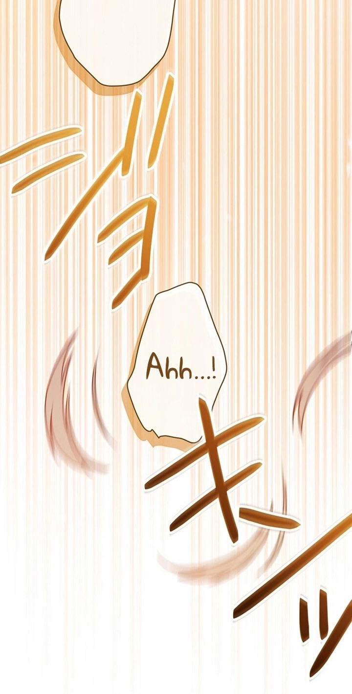Watashi ga Horobo Shite Ii desu yo ne - Junpaku no Seijo wa Fukushuu o Chikau Chapter 12 page 73 - 