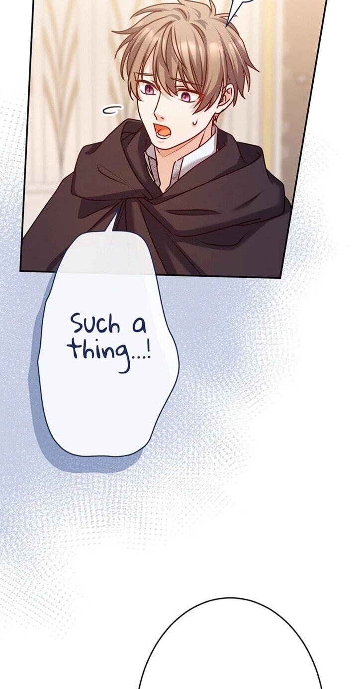 Watashi ga Horobo Shite Ii desu yo ne - Junpaku no Seijo wa Fukushuu o Chikau Chapter 15 page 45 - 