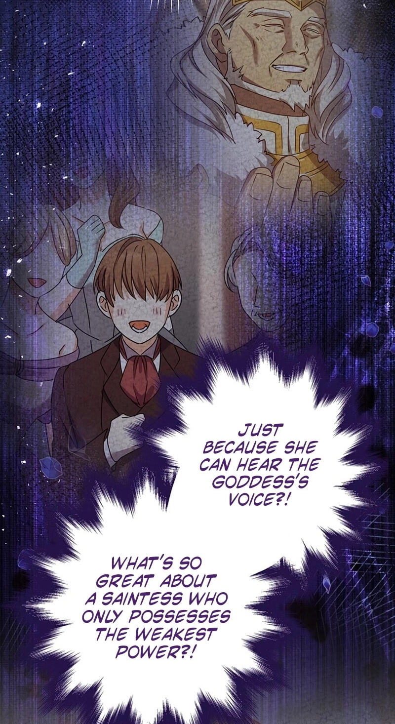 Watashi ga Horobo Shite Ii desu yo ne - Junpaku no Seijo wa Fukushuu o Chikau Chapter 16 page 35 - 