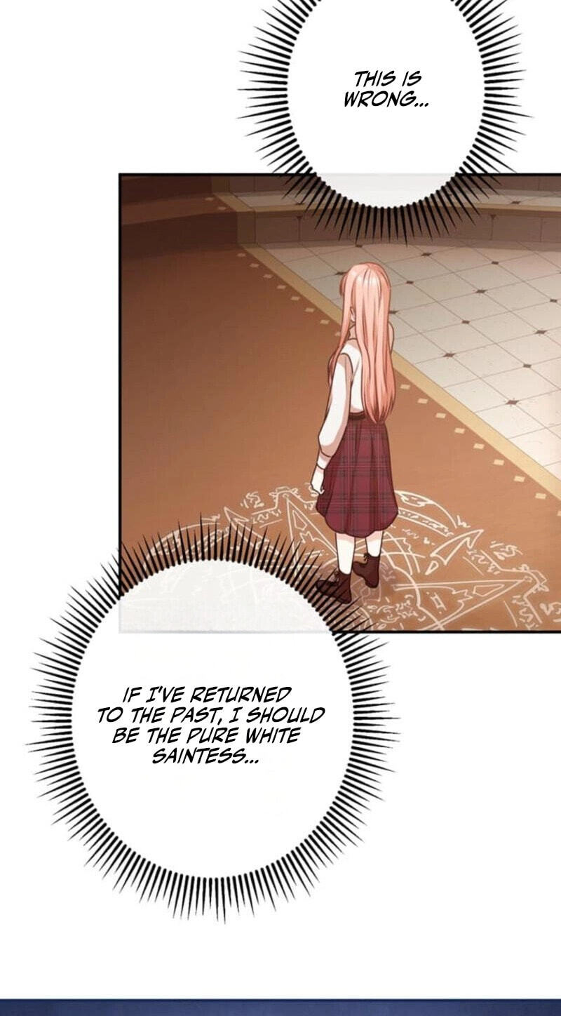 Watashi ga Horobo Shite Ii desu yo ne - Junpaku no Seijo wa Fukushuu o Chikau Chapter 4 page 25 - 