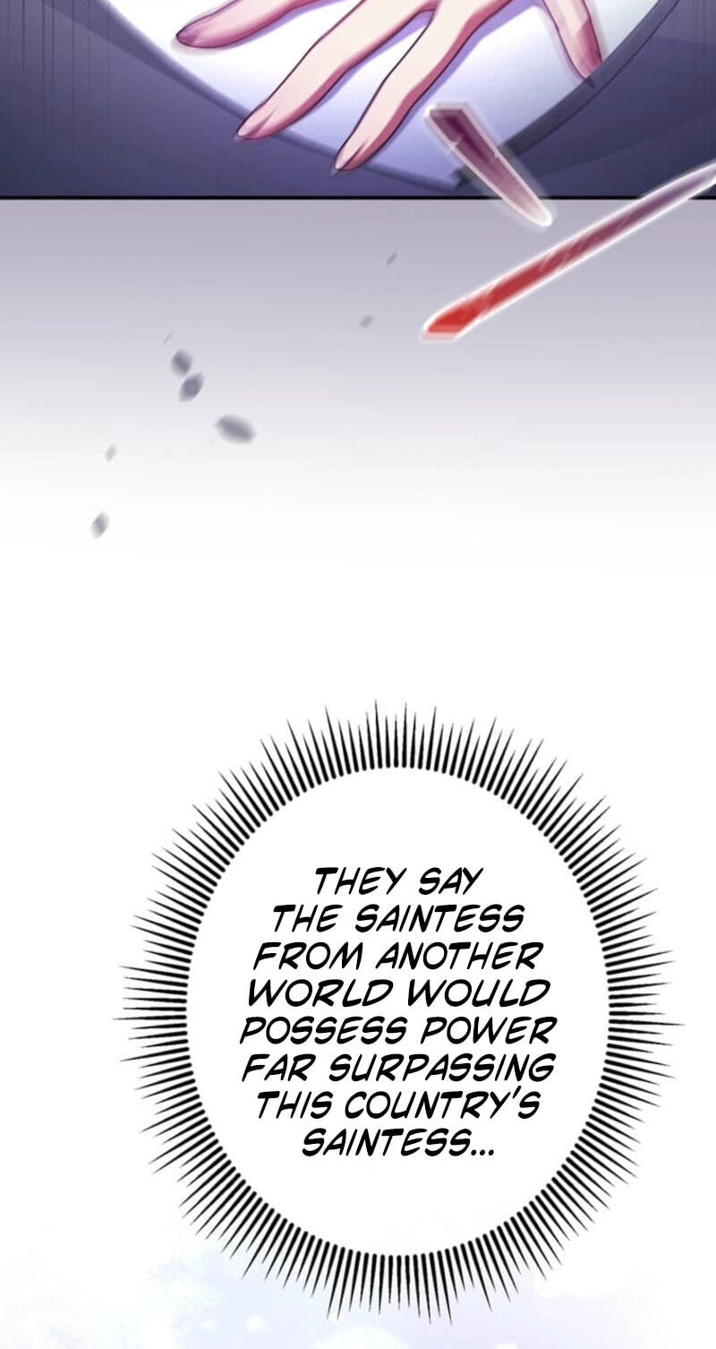 Watashi ga Horobo Shite Ii desu yo ne - Junpaku no Seijo wa Fukushuu o Chikau Chapter 5 page 45 - 