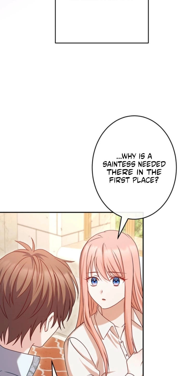 Watashi ga Horobo Shite Ii desu yo ne - Junpaku no Seijo wa Fukushuu o Chikau Chapter 5 page 65 - 