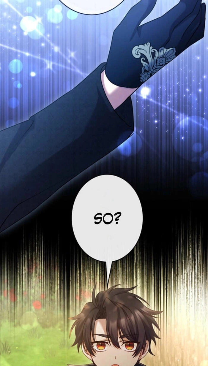 Watashi ga Horobo Shite Ii desu yo ne - Junpaku no Seijo wa Fukushuu o Chikau Chapter 9 page 14 - 